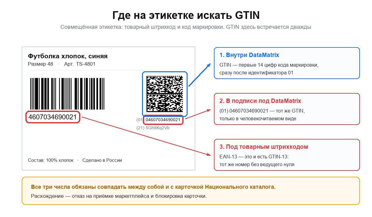 Этикетка со штрихкодом и DataMatrix: где на ней GTIN, обведено